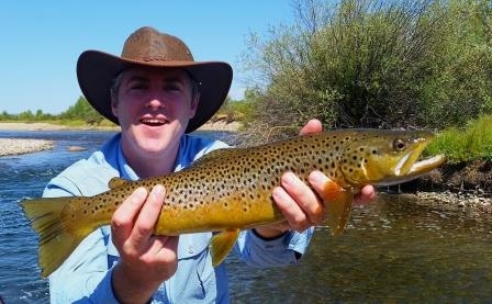 Nice brown trout caught on a grasshopper