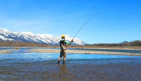 Fishing the Snake River in Jackson Hole