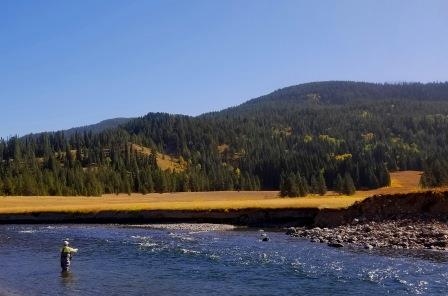 Wading into a perfect trout run in Yellowstone National Park