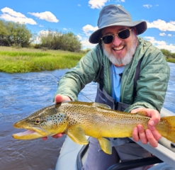 New Fork River brown trout