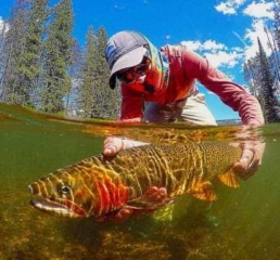 Robert releases a 20" cutthroat with fire colored gill plate