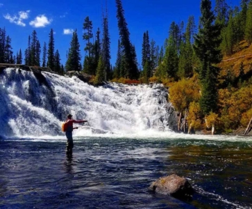 Perfect serenity in a waterfall trout pool