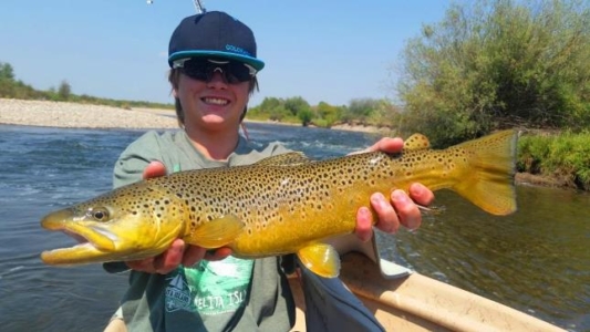 Huge butterbean trout on the Rio Verde
