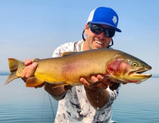 Beautiful cutthroat trout from Yellowstone National Park