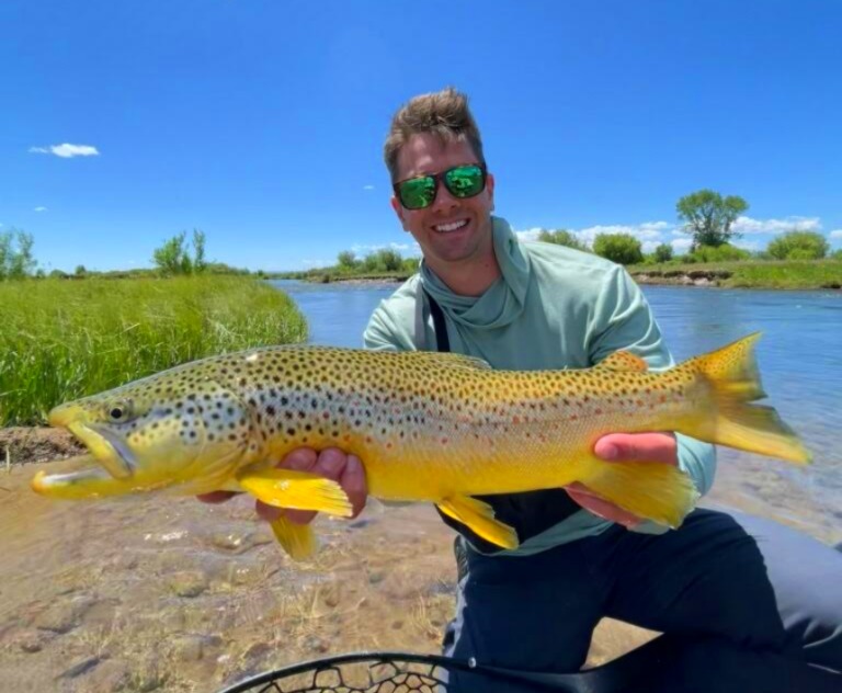 Green River brown trout
